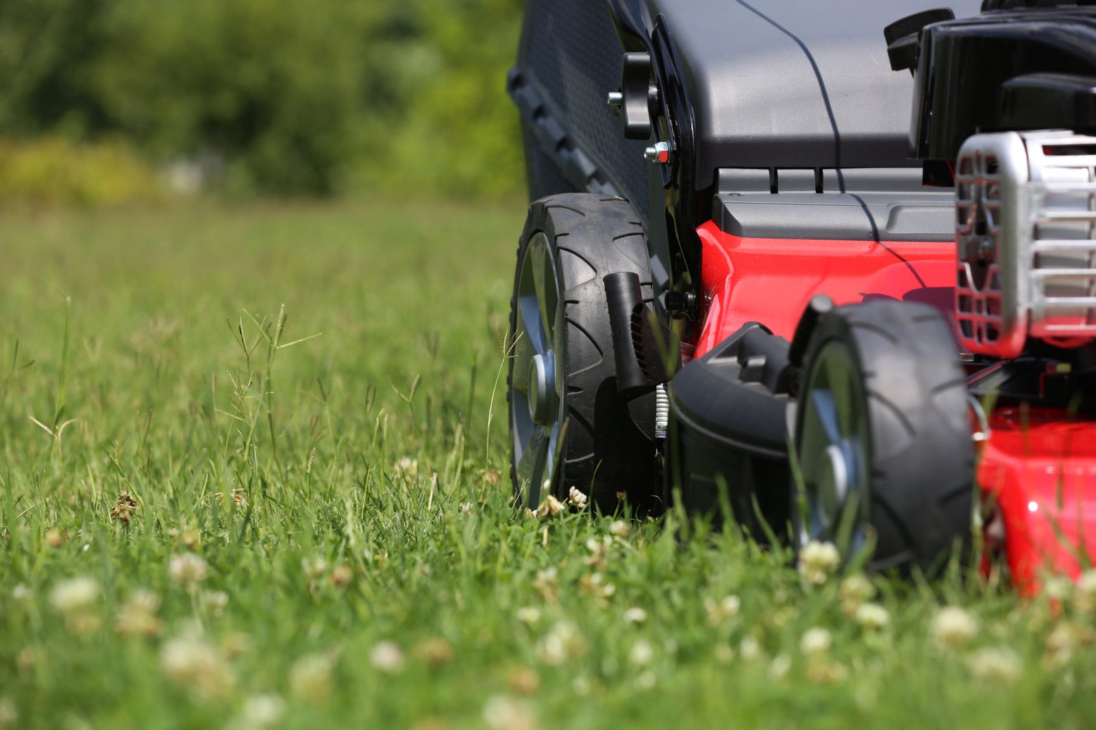 5-reasons-lawn-mowing-is-important-digital-global-times