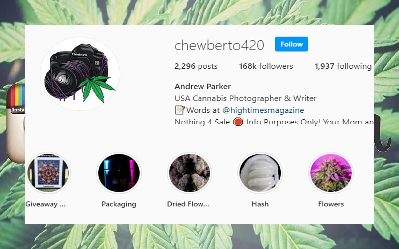 Cannabis Instagram Accounts
