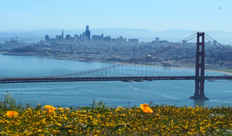 The San Francisco Bay’s 10 Best Sunday Drives