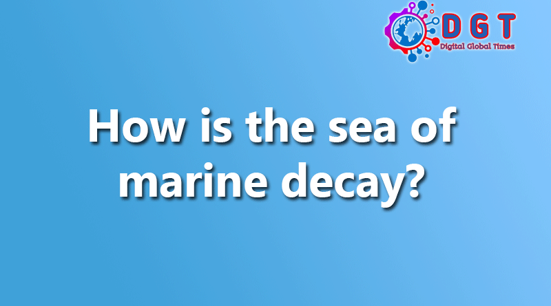 How is the sea of ​​marine decay?