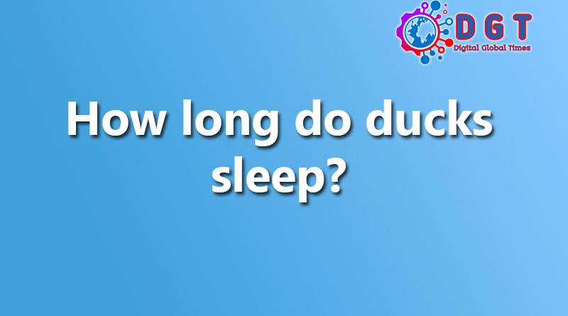 How long do ducks sleep?