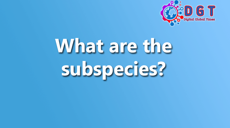 What are the subspecies?