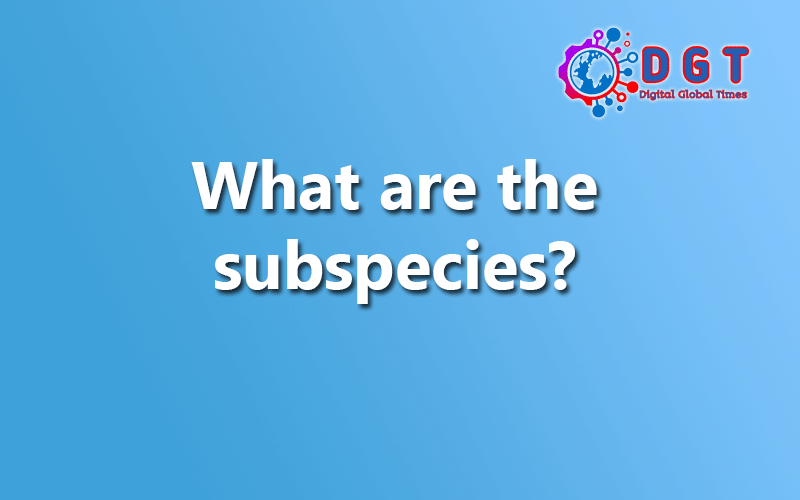 what-are-the-subspecies-digital-global-times