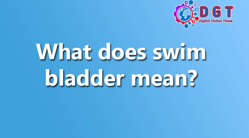 What does swim bladder mean?