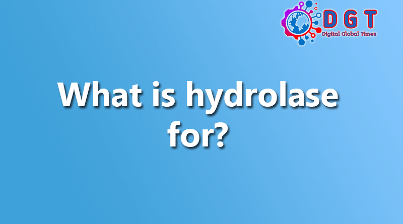 What is hydrolase for?