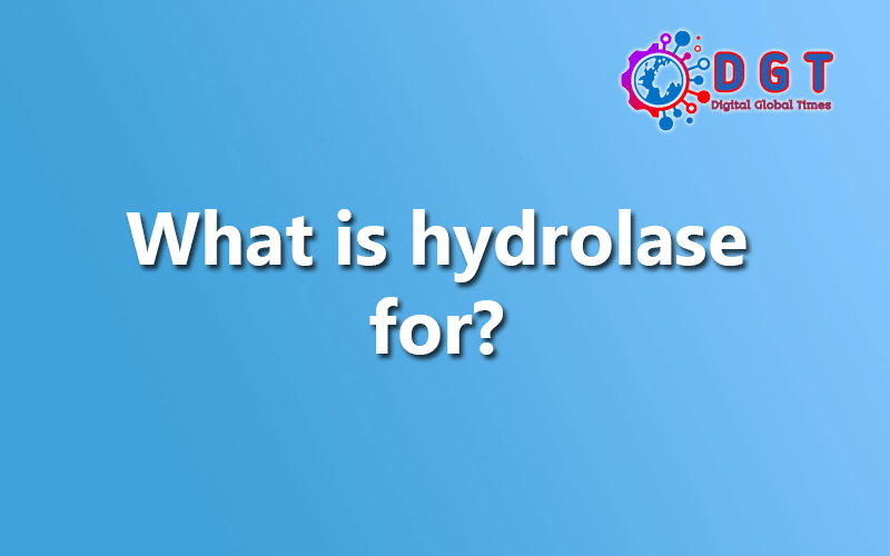 What Is Hydrolase For? - Digital Global Times