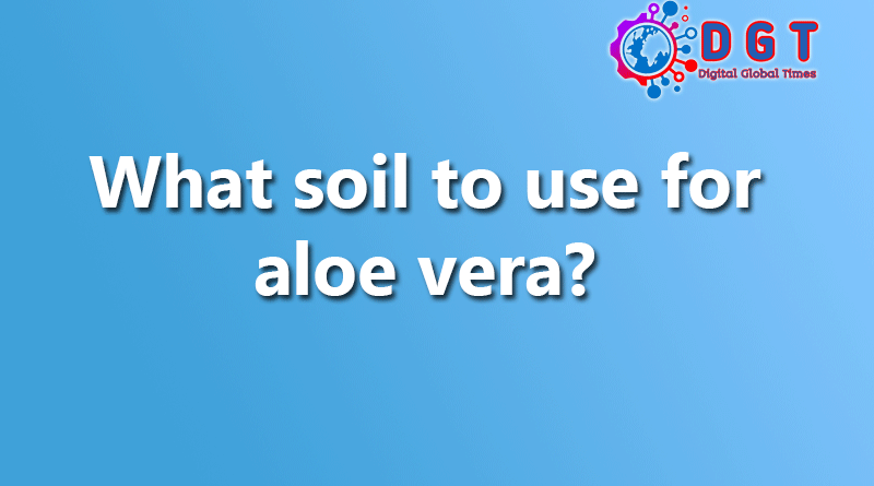 What soil to use for aloe vera?