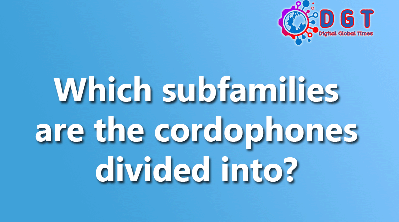 Which subfamilies are the cordophones divided into
