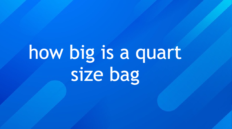 how big is a quart size bag