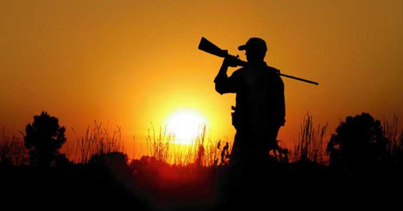 there are four main causes of hunting incidents