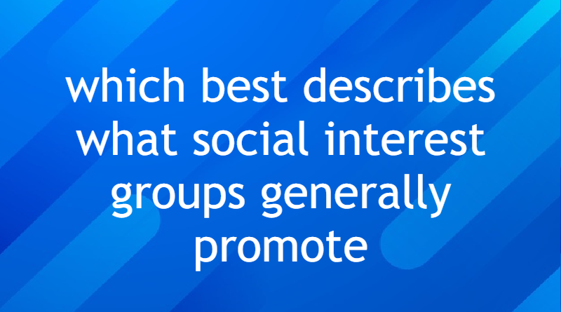 which best describes what social interest groups generally promote