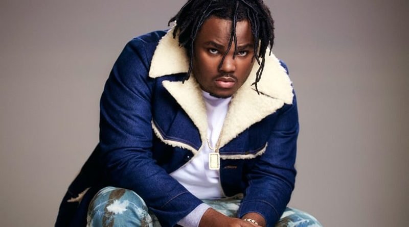 how much is tee grizzley worth