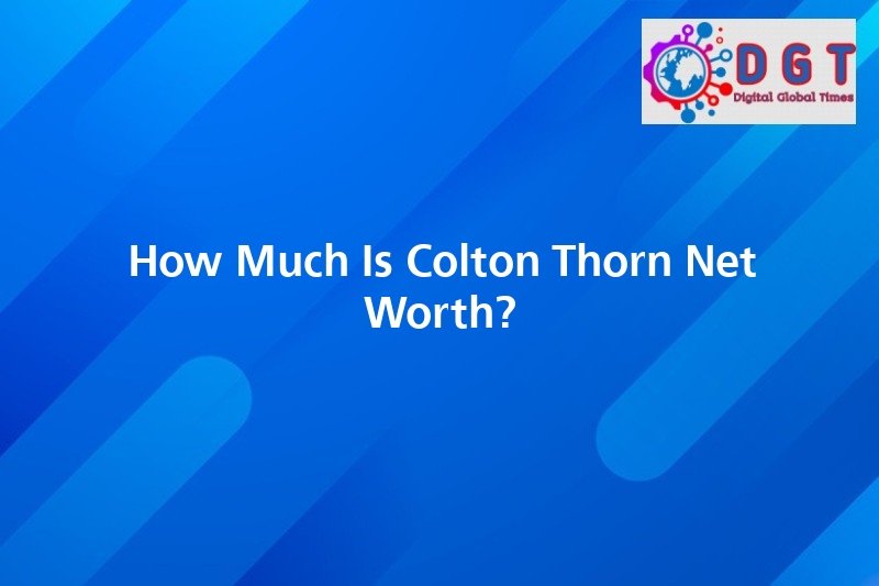 How Much Is Colton Thorn Net Worth 19289 