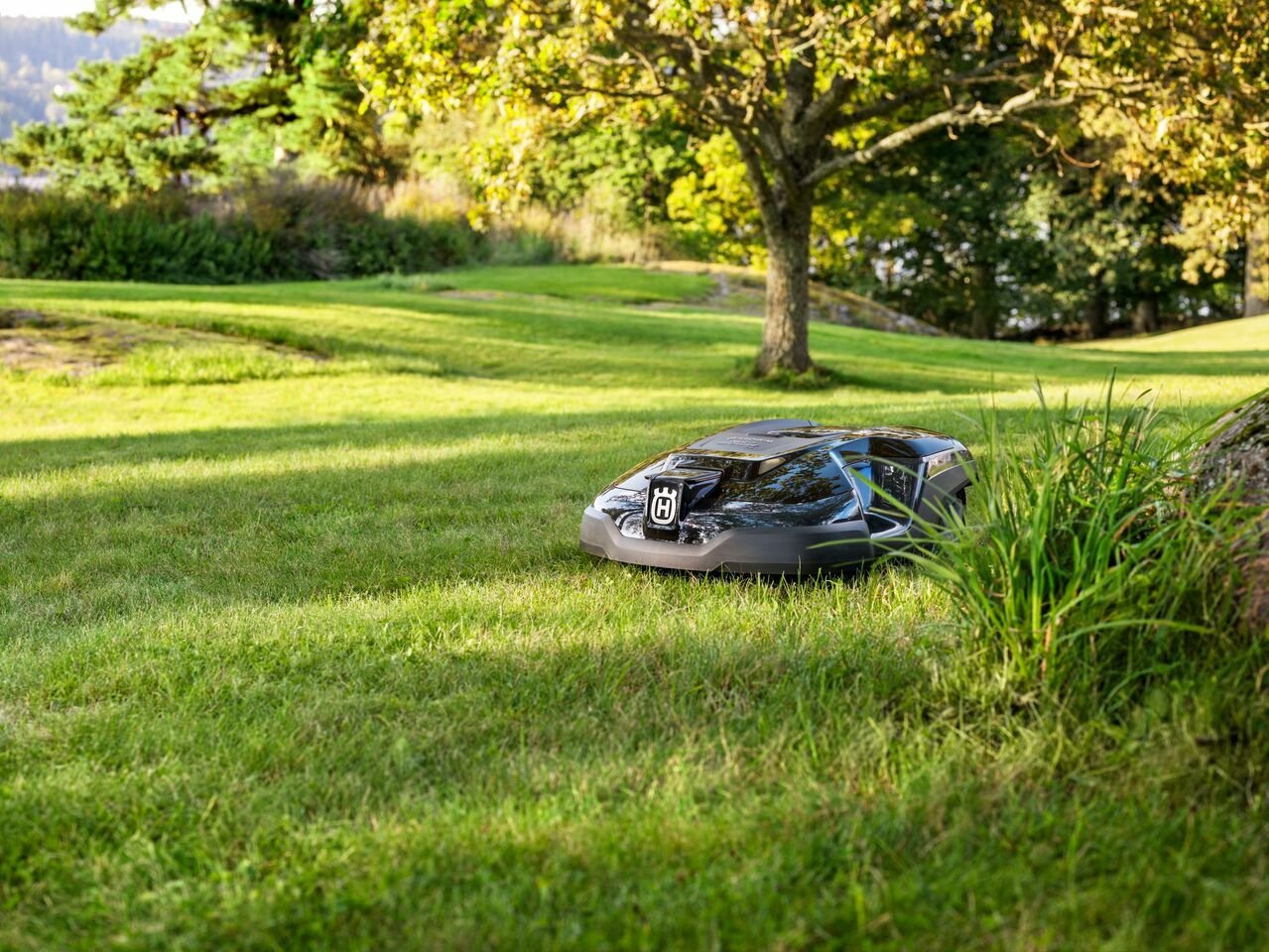 Top 5 Best Lawn Mowers In 2022 Digital Global Times