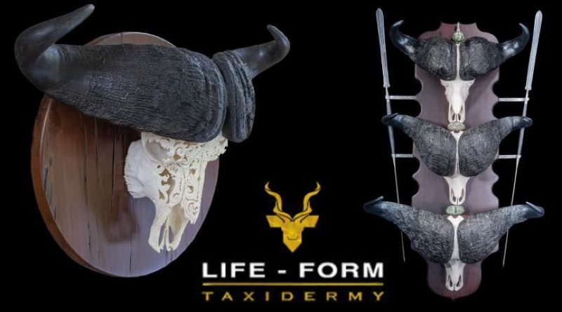Taxidermy for Hunters