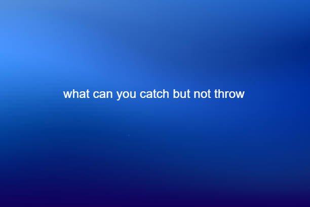 what can you catch but not throw
