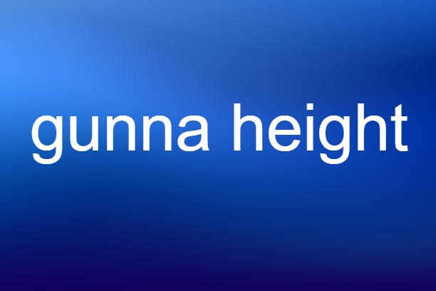 gunna height