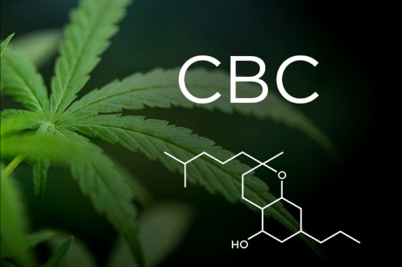 Understanding cbc isolate what it is and how it is used digital