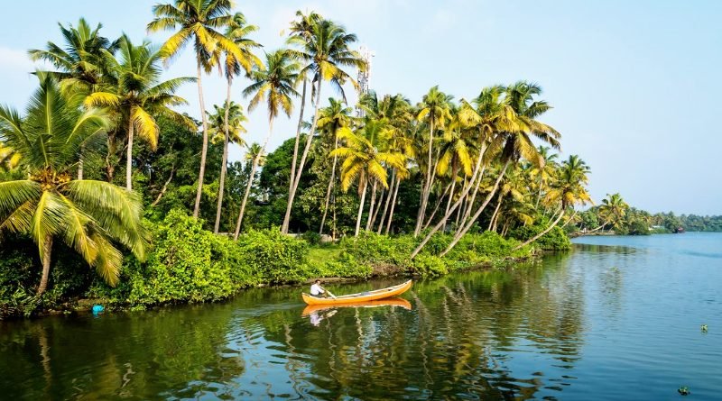 Kaleidoscope of Experiences: The Best 8 Tours in Enchanting Kerala