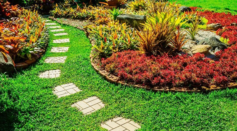 The Art of Creating a Lush Green Oasis: Top Lawn Care Tips