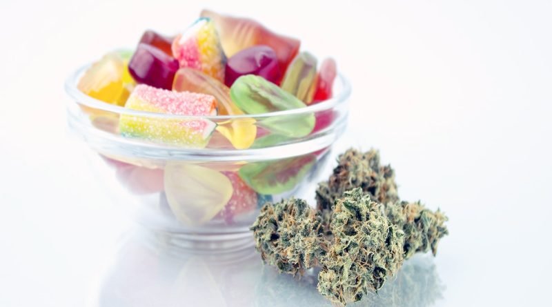 Why CBD Gummies Are Popular to Take for Pain