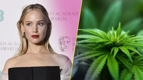 Celebrities That Smoke Weed : 6 Stars Who Enjoy Marijuana
