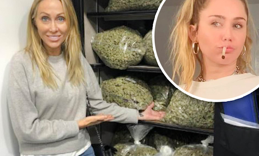 Celebrities That Smoke Weed : 6 Stars Who Enjoy Marijuana
