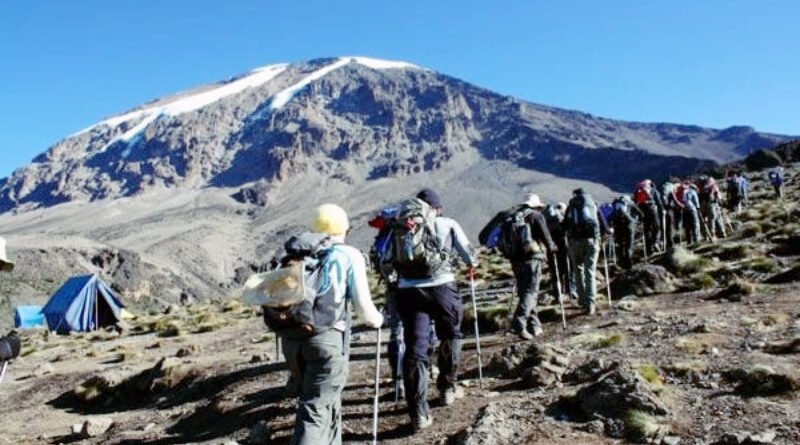 How the Best Mount Kilimanjaro Tour Operators Tailor Trips to Your Preferences