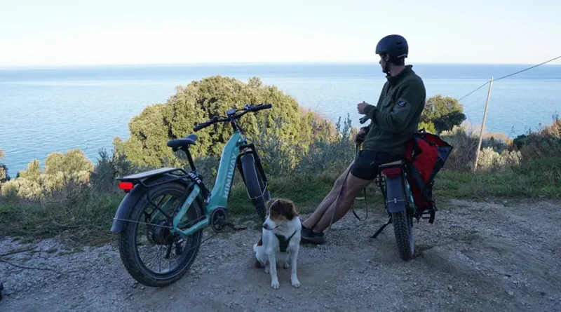 Best Electric Bike for Adults A Deep Dive into the Himiway D5 Series