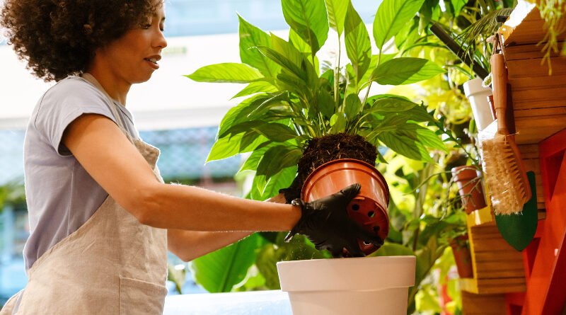 8 Ways to Create a Sustainable Indoor Garden