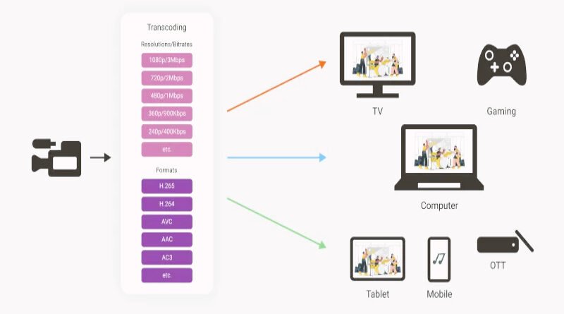 Everything You Need to Know About https://tododisca.com: Your Ultimate Streaming Platform