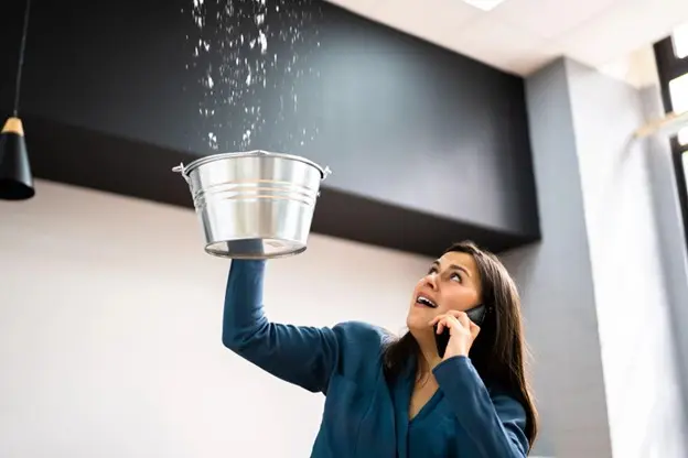 Benefits of Home Leak Detectors