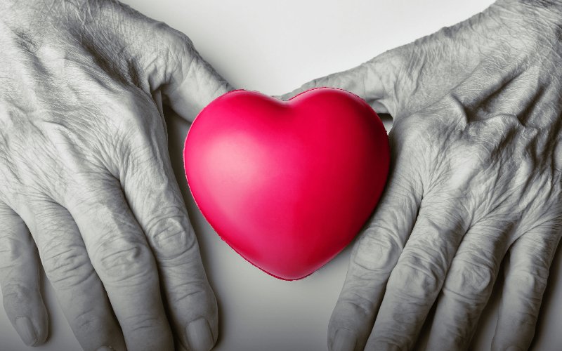 Annice B. Wood Obituary Maryland: A Life Of Service, Compassion, And