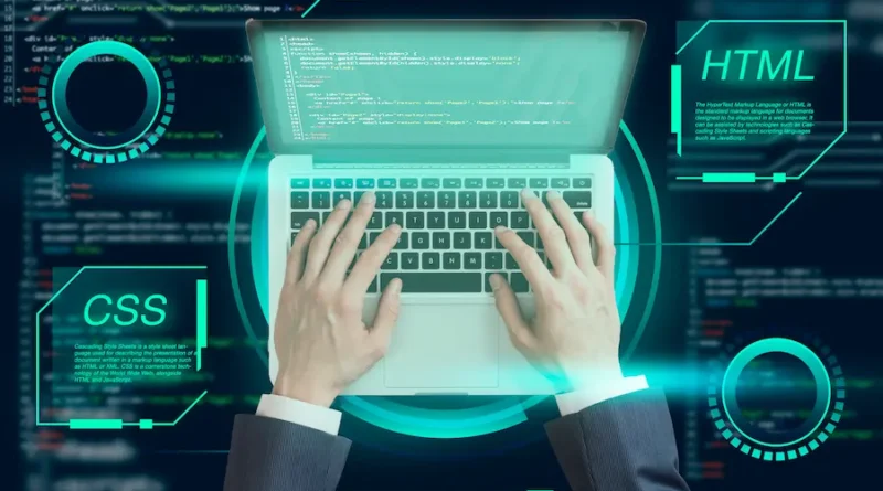 Hiring Guide Web Developer vs. WordPress Developer