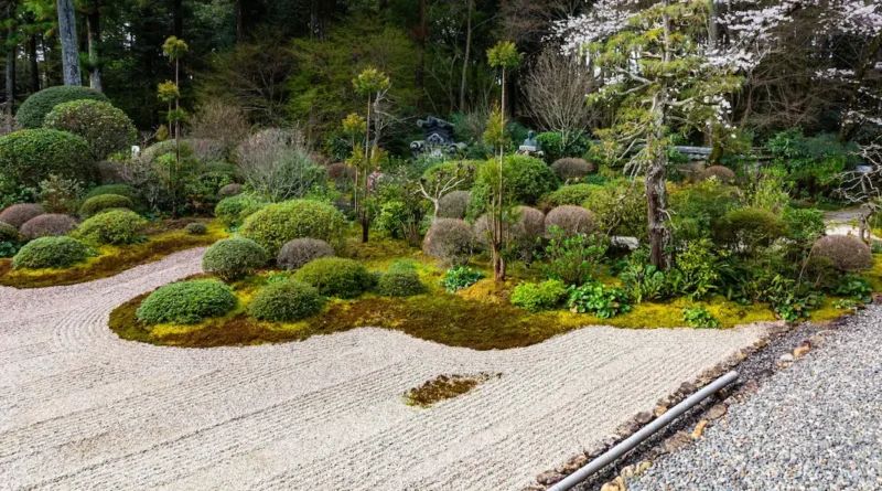 Landscape Design