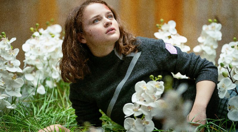 Joey King Movies and Shows: A Look at Her Impressive Acting Journey