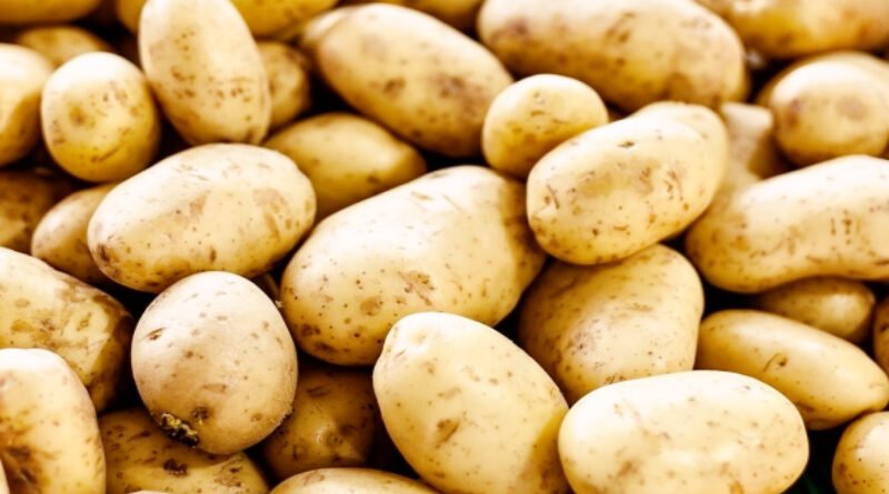 The ABCs of Potatoes: 10 Common Spelling Mistakes to Avoid