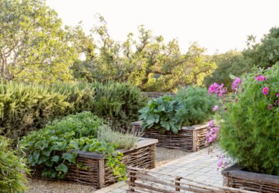 The Awakening Garden: The First 5 Outdoor Projects Homeowners Tackle Every Spring