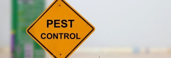 Pest Control For Renters