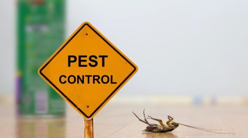 Pest Control For Renters